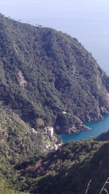 Casa Al Mare A Recco公寓 外观 照片