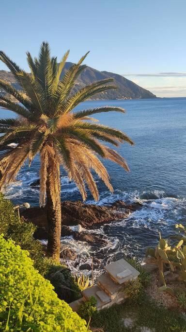 Casa Al Mare A Recco公寓 外观 照片
