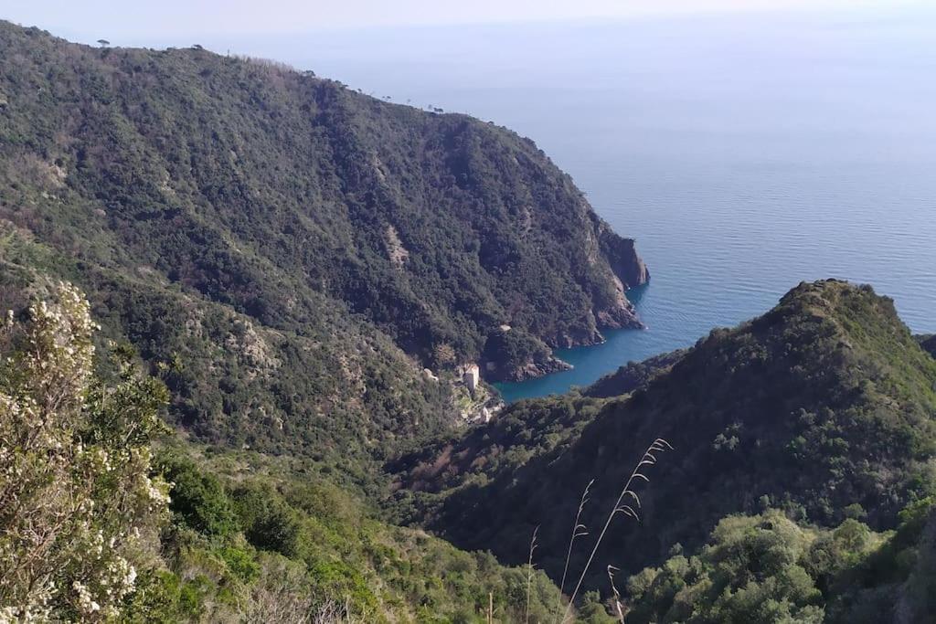 Casa Al Mare A Recco公寓 外观 照片